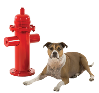 Dog Park Fire Hydrant